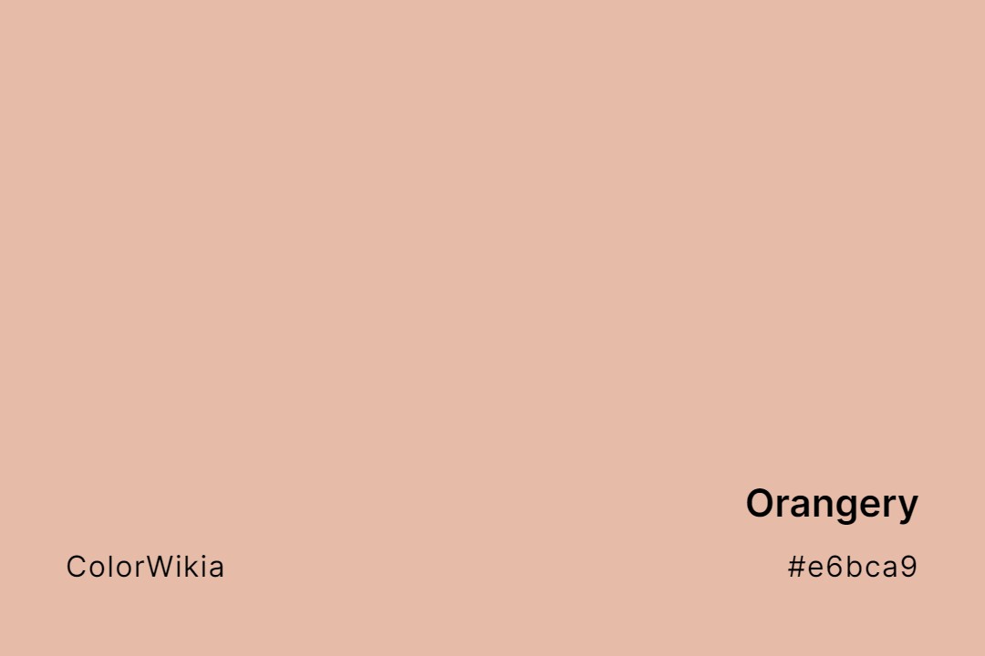 Orangery Color – #e6bca9: Codes and Complete Breakdown