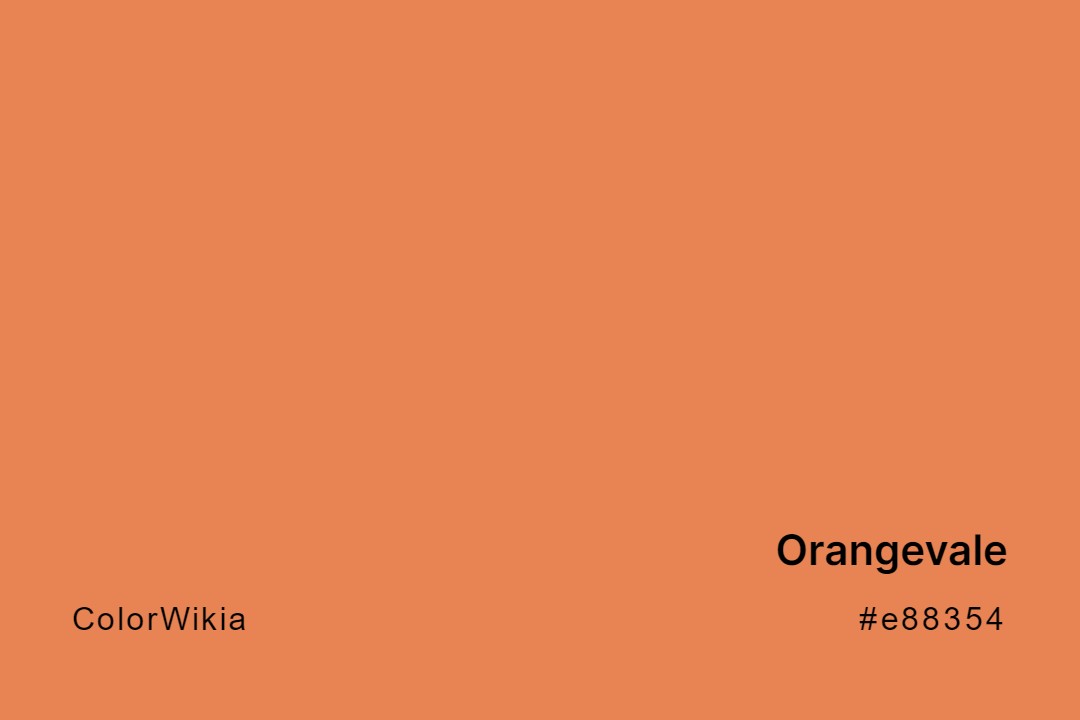 Orangevale Color – #e88354: Codes and Complete Breakdown