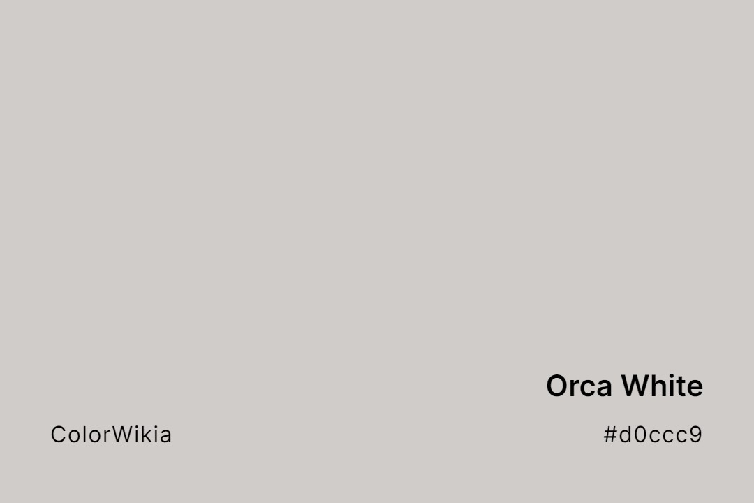 Orca White Color – #d0ccc9: Codes and Complete Breakdown