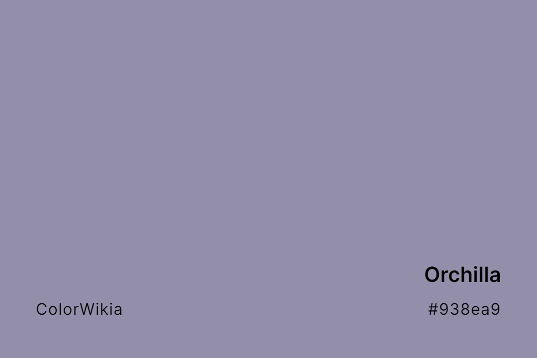 Orchilla Color – #938ea9: Codes and Complete Breakdown