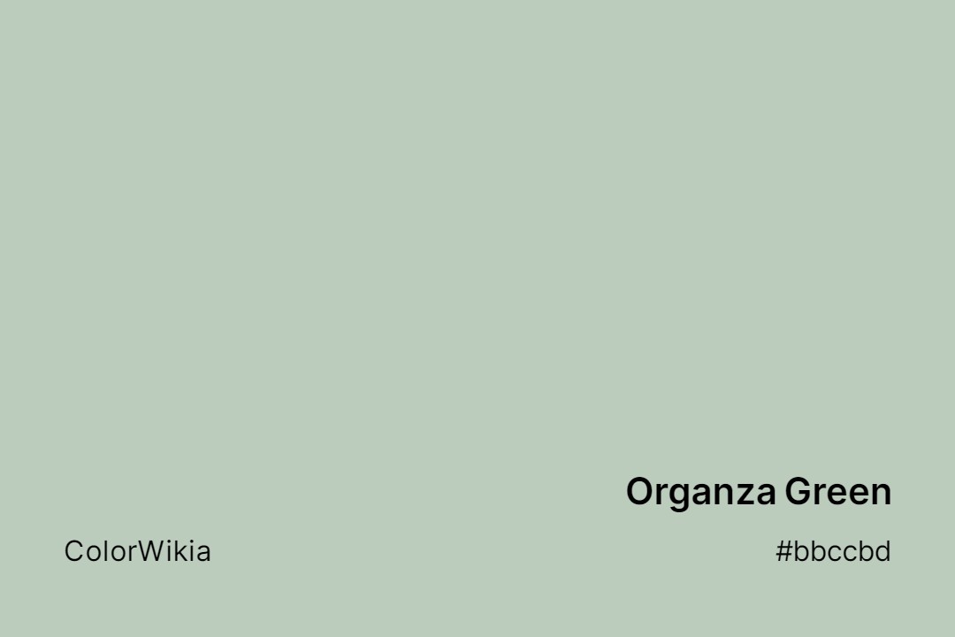 organza green color bbccbd