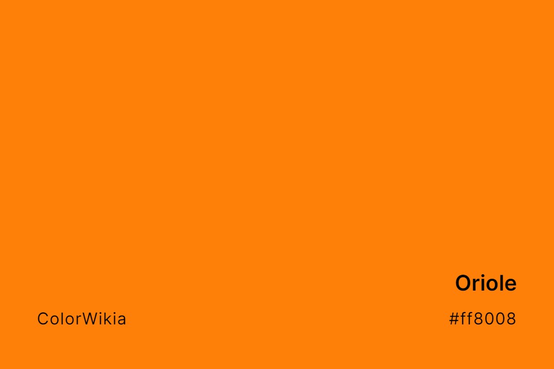 Oriole Color – #ff8008: Codes and Complete Breakdown
