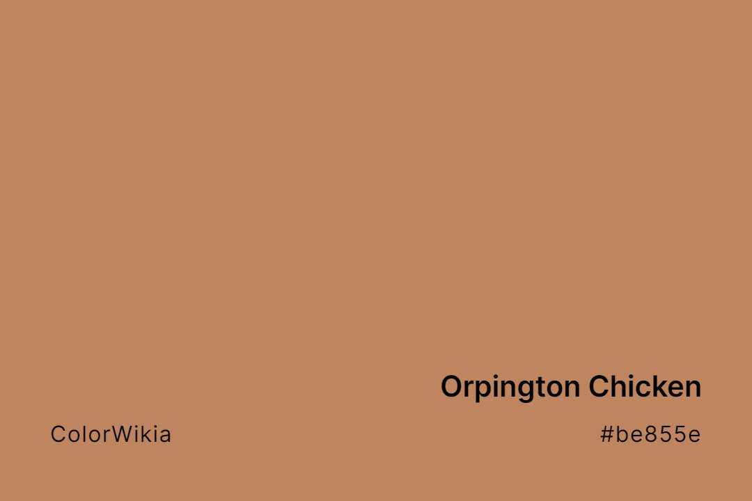 orpington chicken color be855e