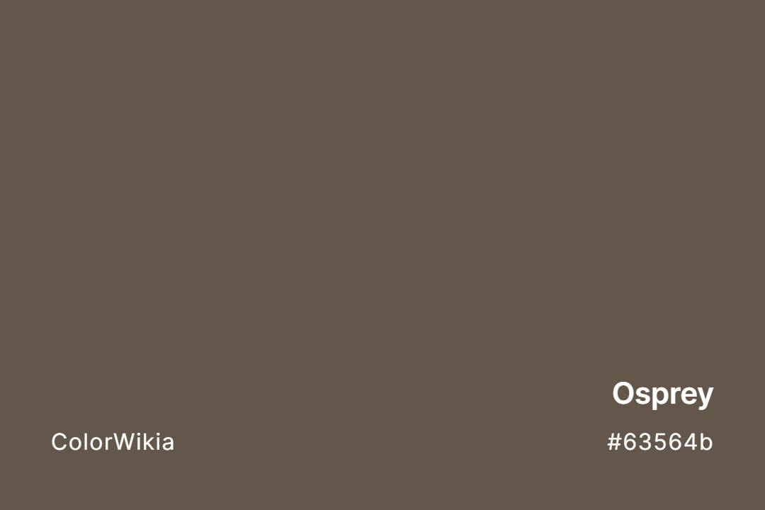 Osprey Color – #63564b: Codes and Complete Breakdown