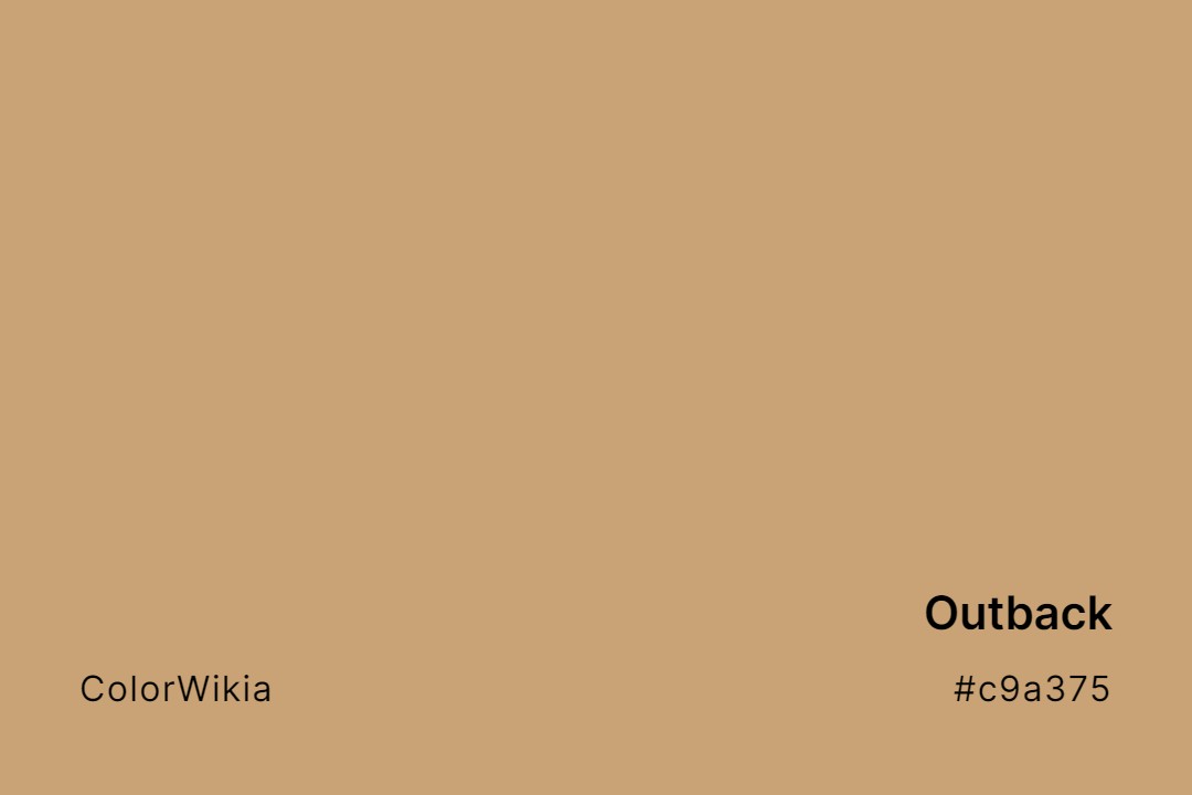 Outback Color – #c9a375: Codes and Complete Breakdown