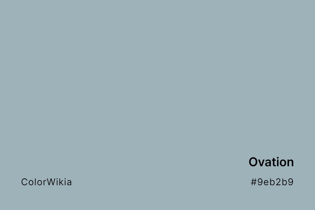 Ovation Color – #9eb2b9: Codes and Complete Breakdown