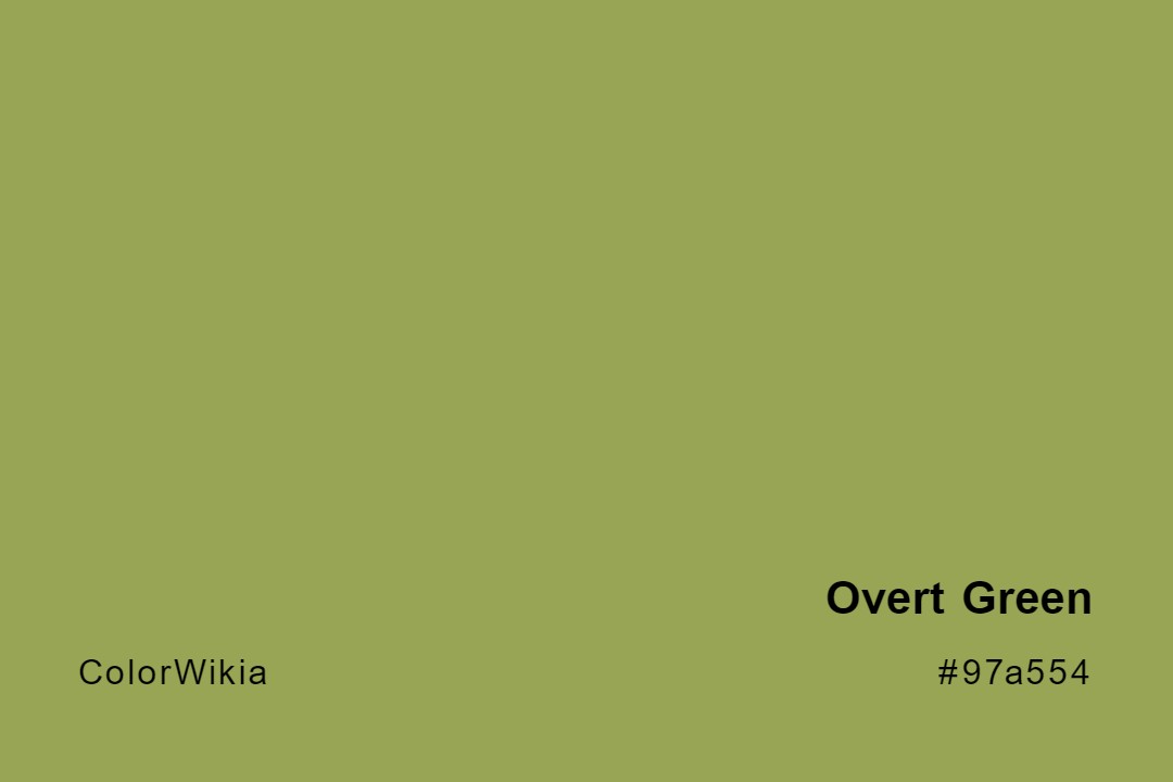 Overt Green Color – #97a554: Codes and Complete Breakdown