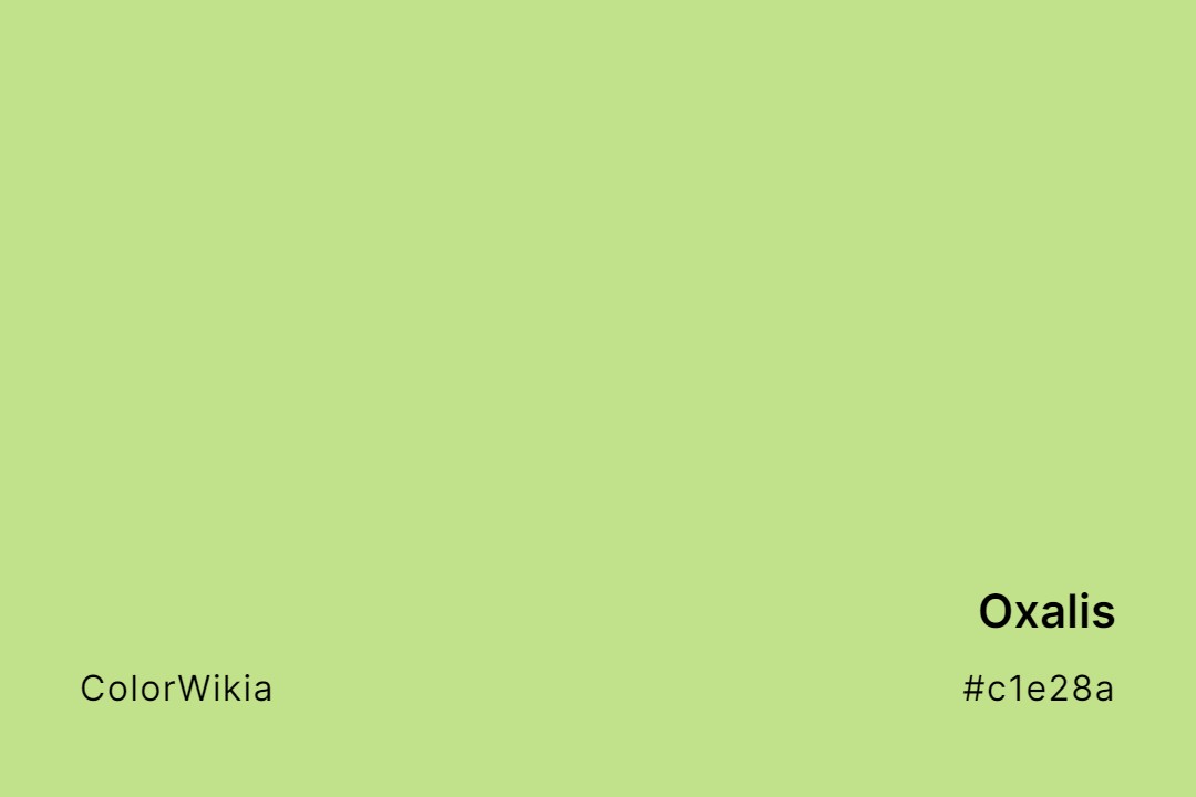 Oxalis Color – #c1e28a: Codes and Complete Breakdown