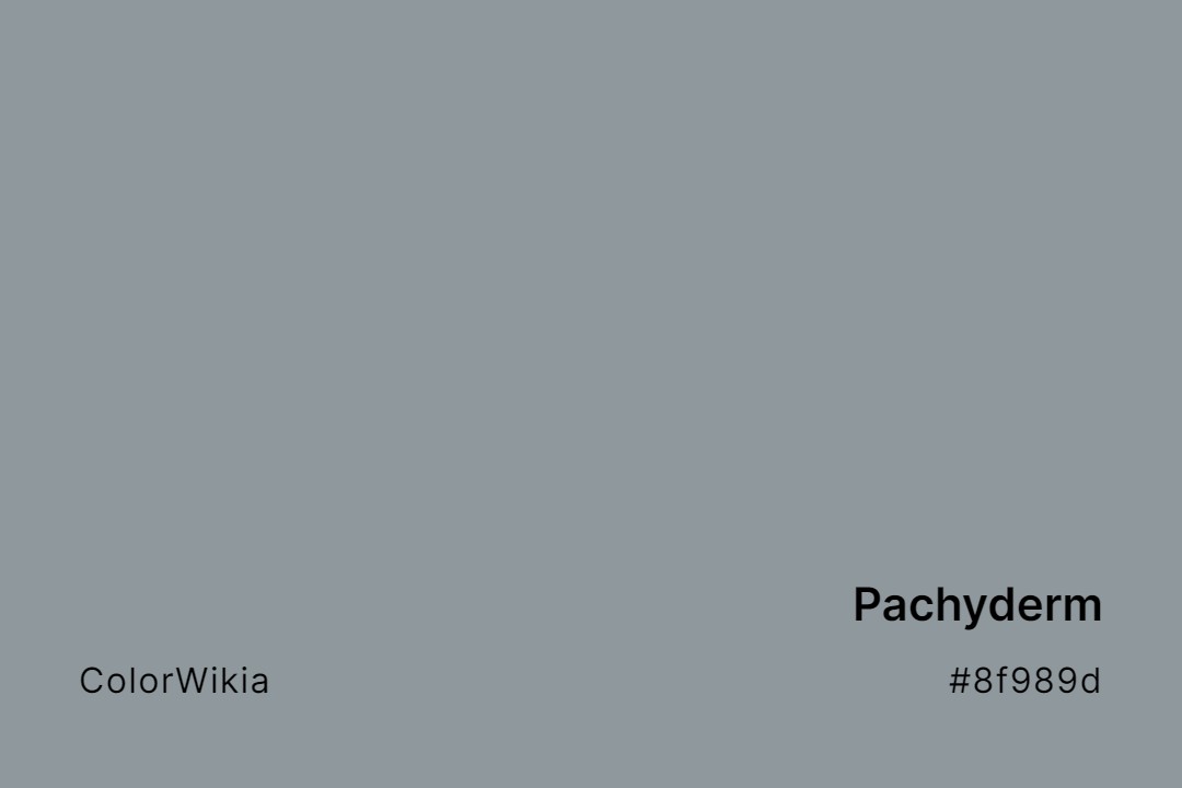 Pachyderm Color – #8f989d: Codes and Complete Breakdown