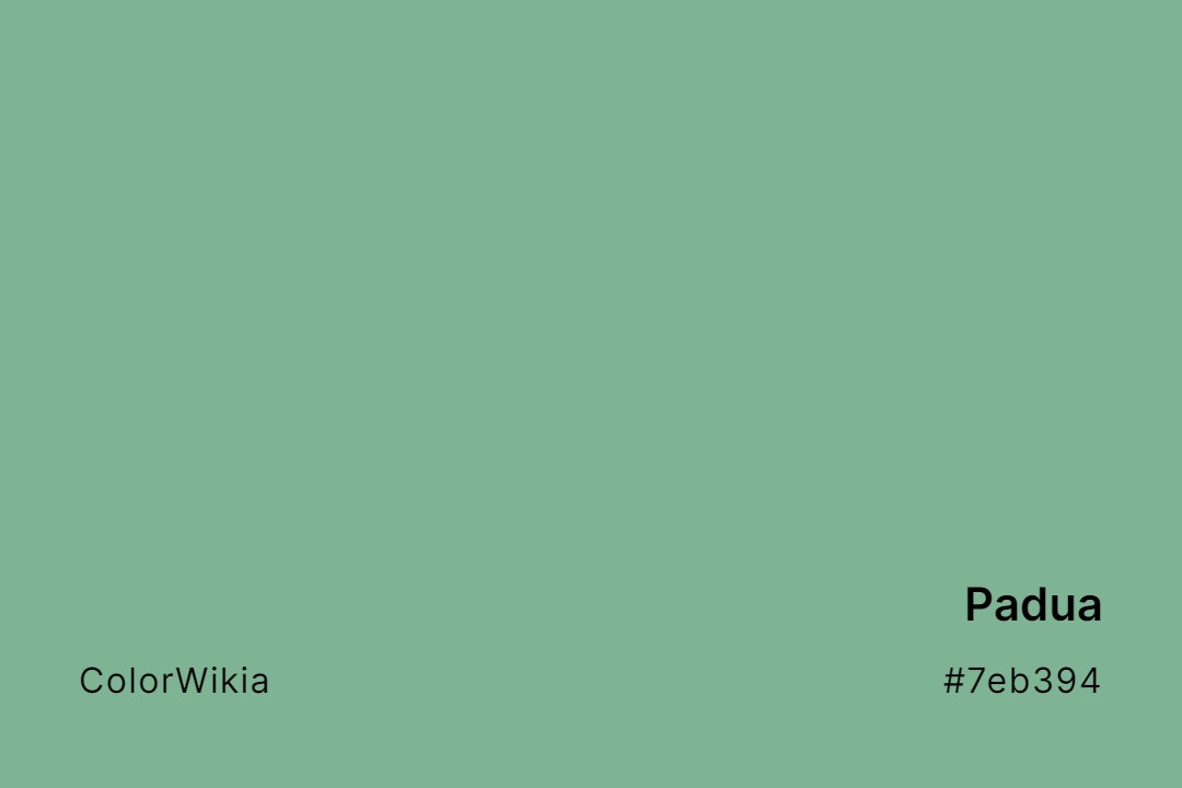 Padua Color – #7eb394: Codes and Complete Breakdown