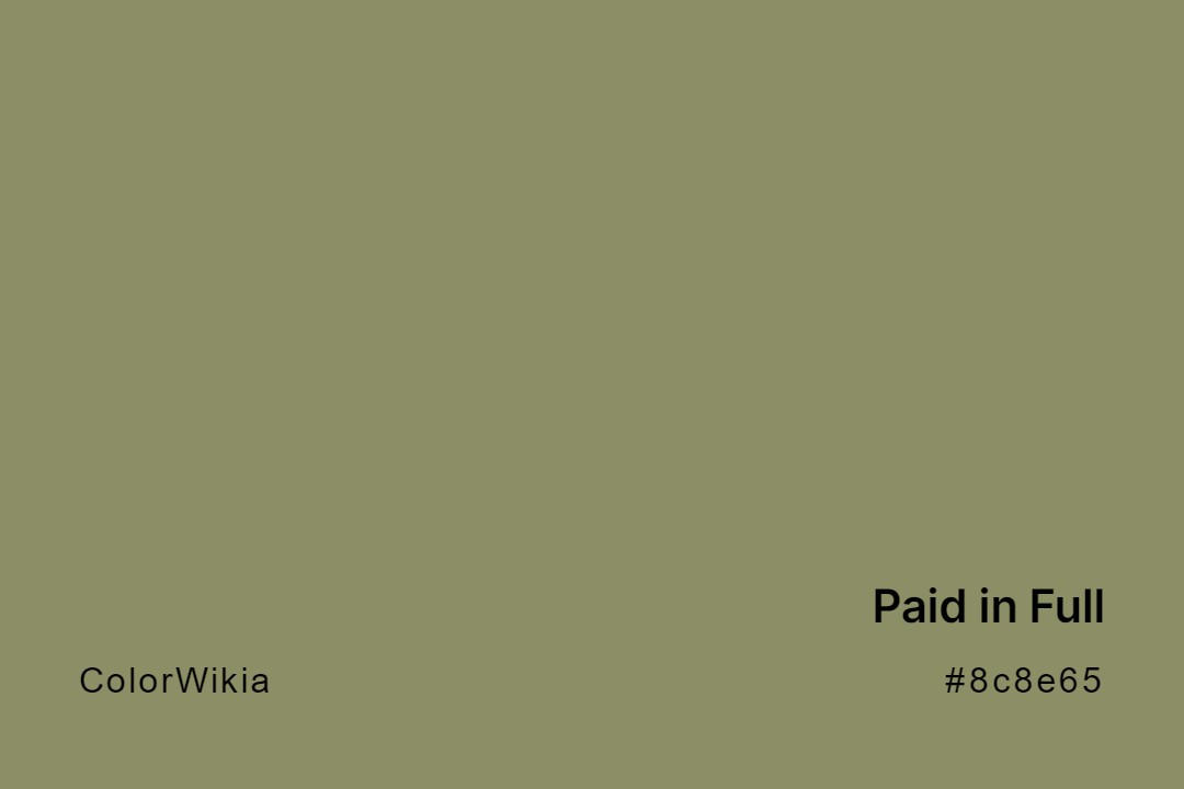 paid in full color 8c8e65