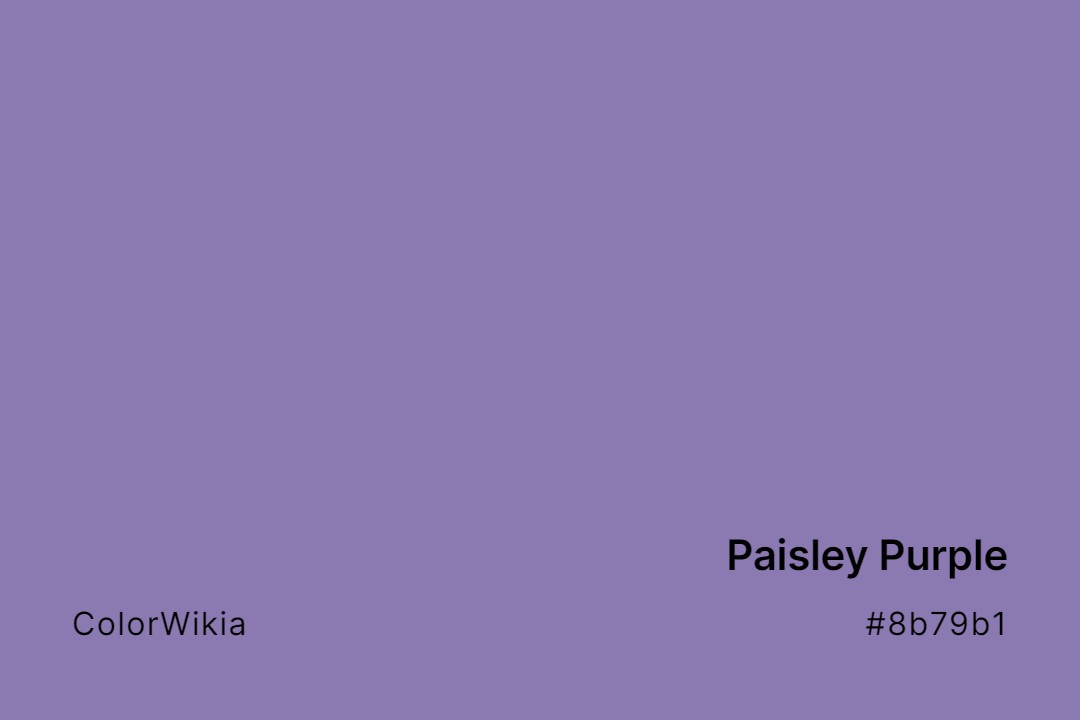Paisley Purple Color – #8b79b1: Codes and Complete Breakdown