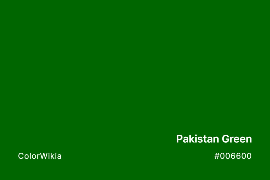 Pakistan Green Color – #006600: Codes and Complete Breakdown