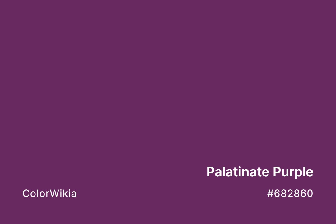 Palatinate Purple Color – #682860: Codes and Complete Breakdown