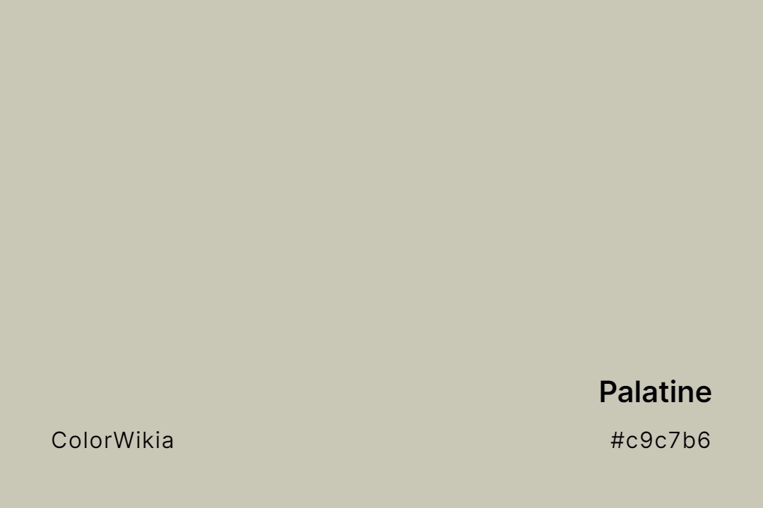 Palatine Color – #c9c7b6: Codes and Complete Breakdown