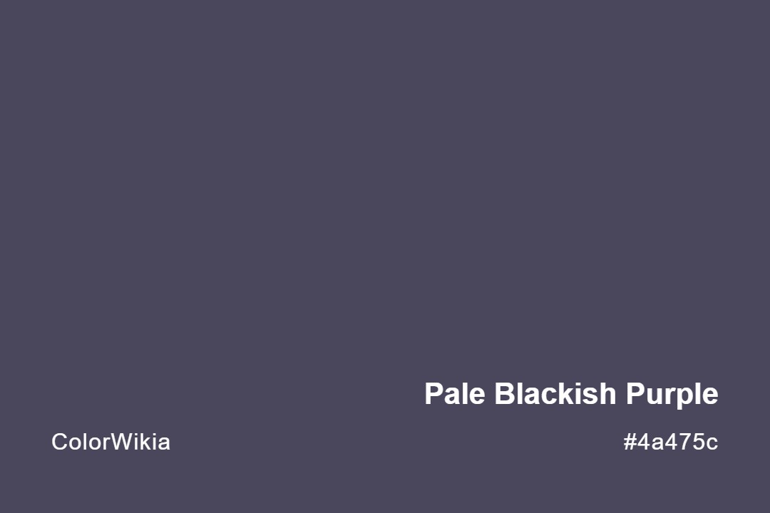 pale blackish purple color 4a475c