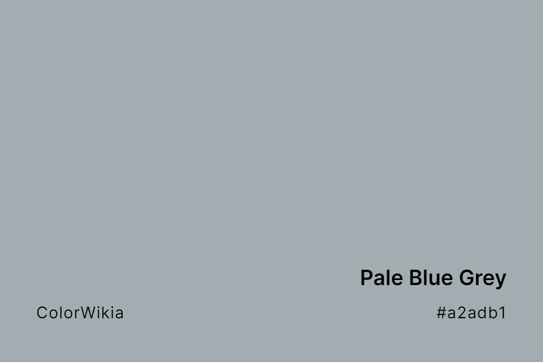 Pale Blue Grey Color – #a2adb1: Codes and Complete Breakdown
