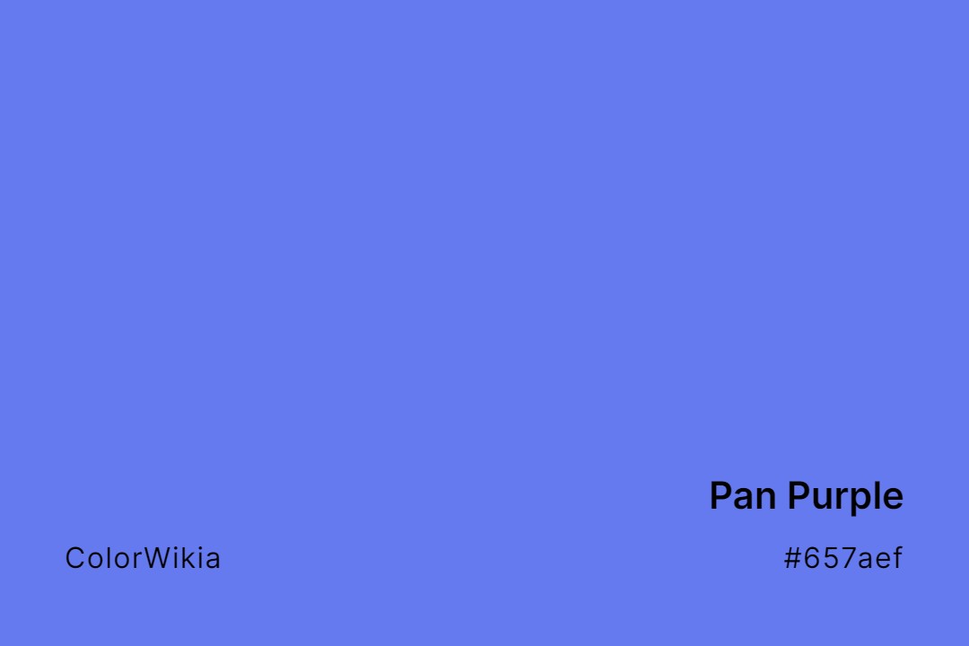 pan purple color 657aef
