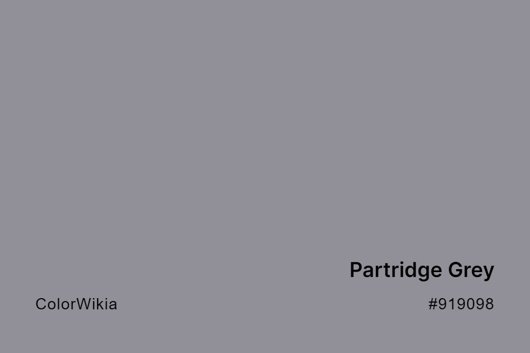 Partridge Grey Color – #919098: Codes and Complete Breakdown