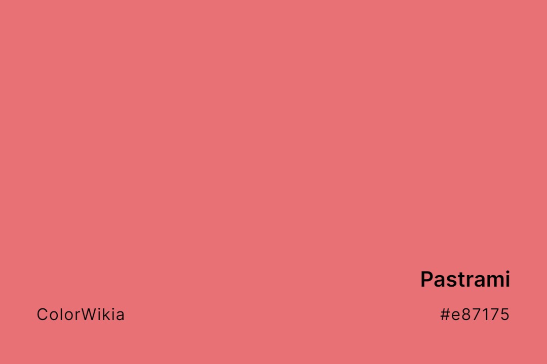 Pastrami Color – #e87175: Codes and Complete Breakdown