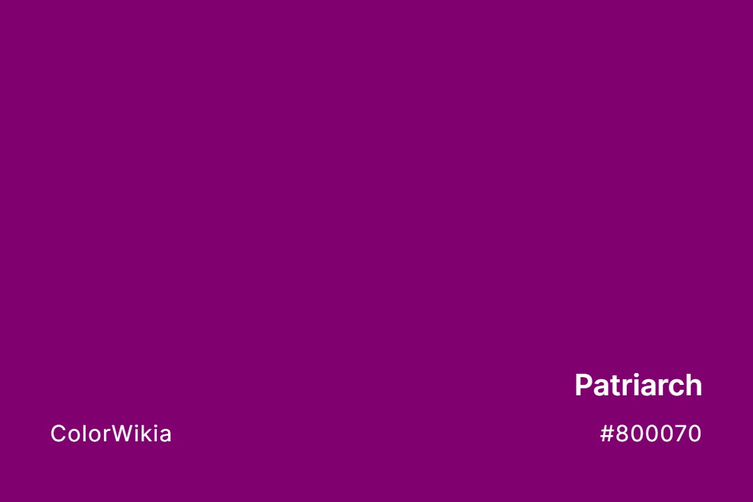 Patriarch Color – #800070: Codes and Complete Breakdown