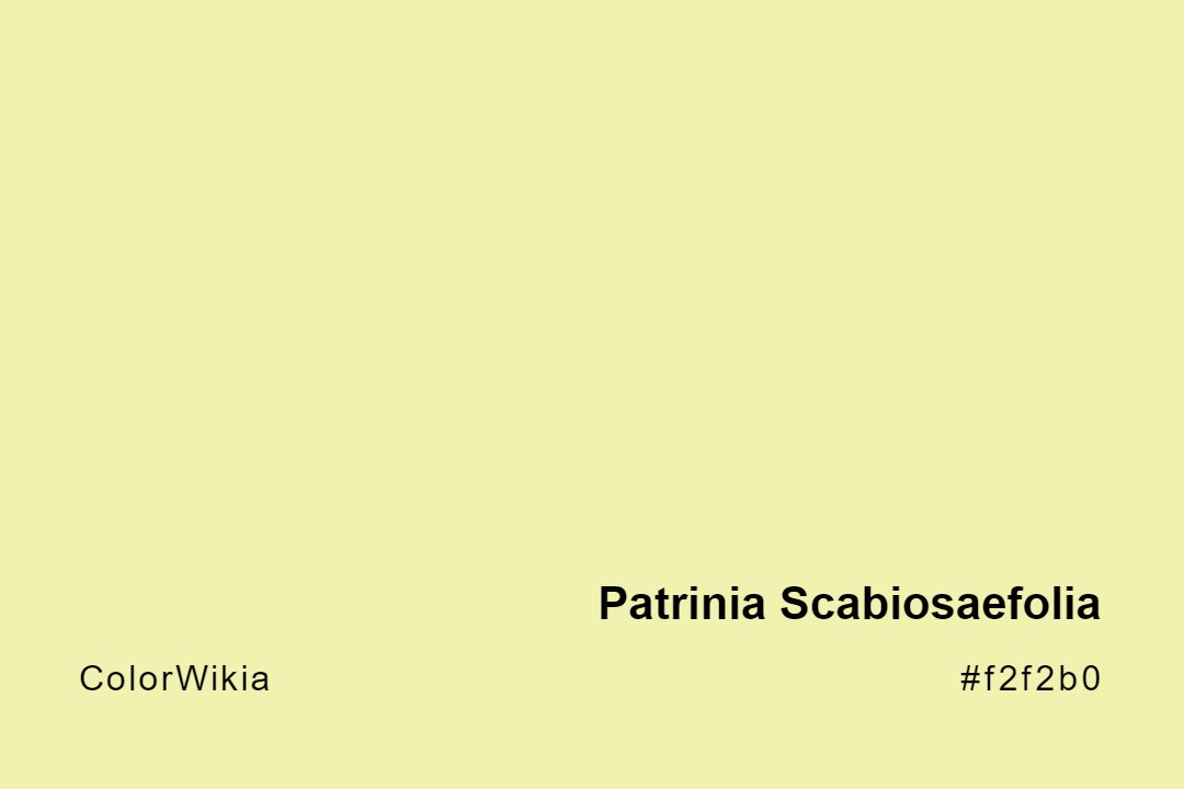 Patrinia Scabiosaefolia Color – #f2f2b0: Codes and Complete Breakdown