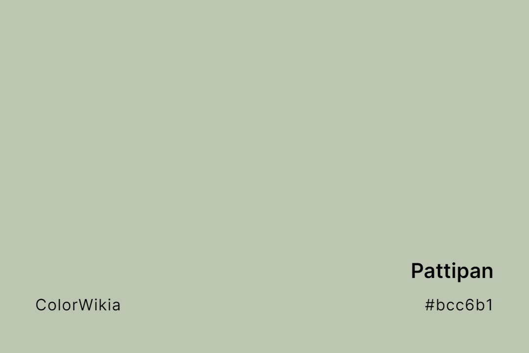 Pattipan Color – #bcc6b1: Codes and Complete Breakdown