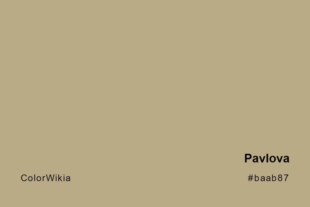 Pavlova Color – #baab87: Codes and Complete Breakdown