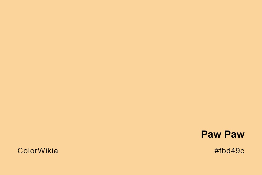 paw paw color fbd49c