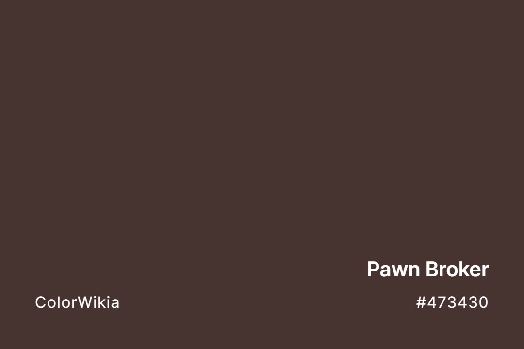 Pawn Broker Color – #473430: Codes and Complete Breakdown