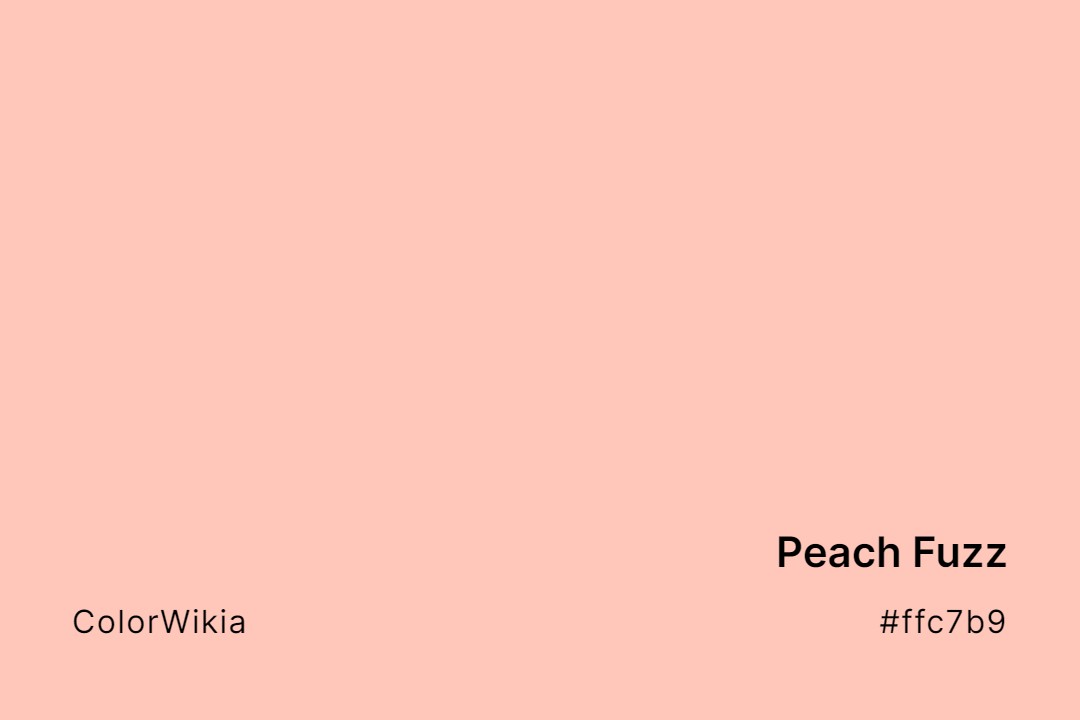Peach Fuzz Color – #ffc7b9: Codes and Complete Breakdown