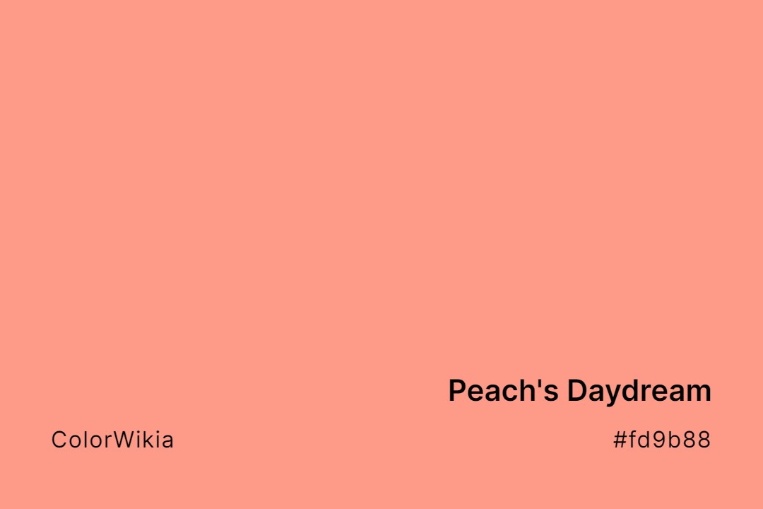 Peach’s Daydream Color – #fd9b88: Codes and Complete Breakdown