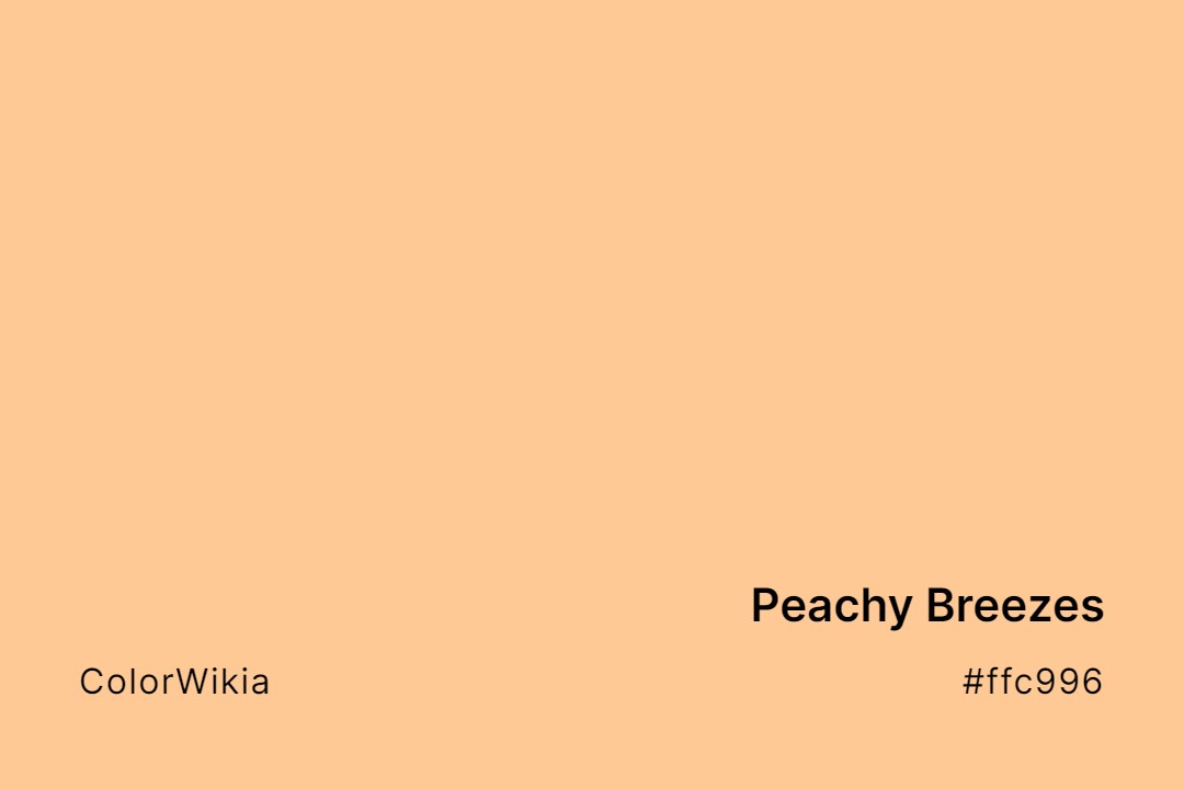 Peachy Breezes Color – #ffc996: Codes and Complete Breakdown