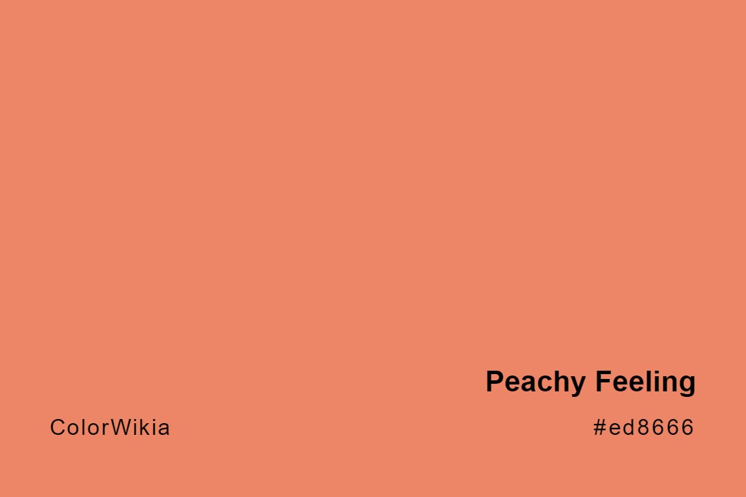 Peachy Feeling Color – #ed8666: Codes and Complete Breakdown