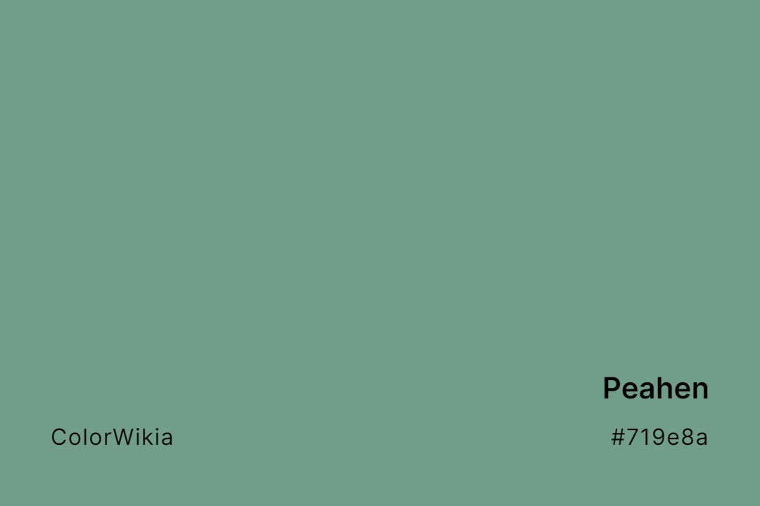 Peahen Color – #719e8a: Codes and Complete Breakdown