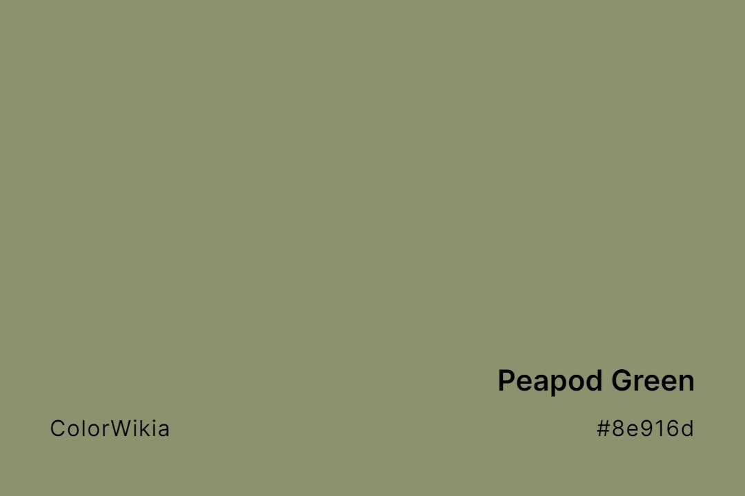 Peapod Green Color – #8e916d: Codes and Complete Breakdown