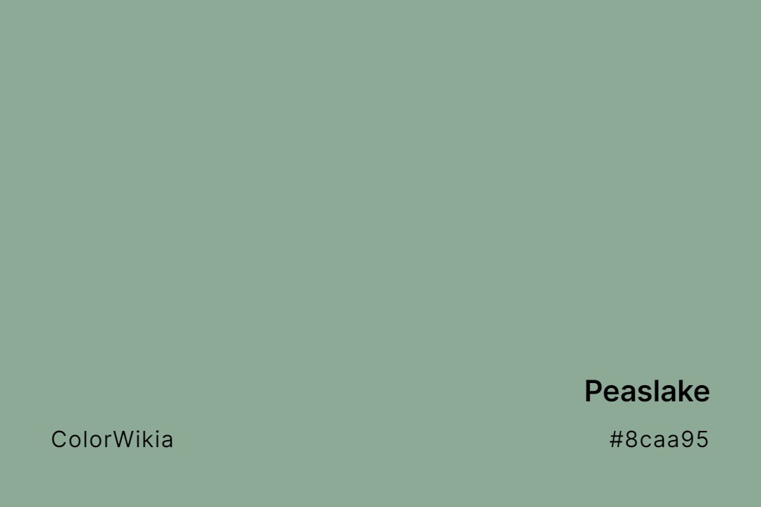 Peaslake Color – #8caa95: Codes and Complete Breakdown