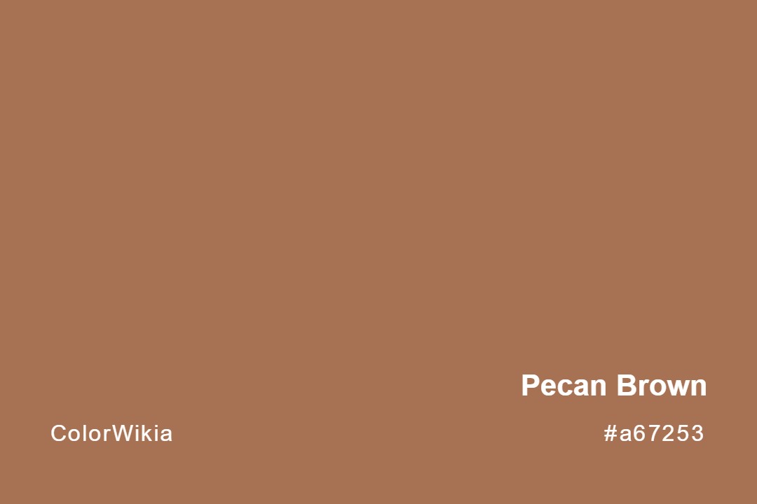 pecan brown color a67253