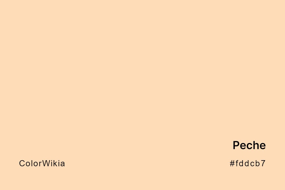 Peche Color – #fddcb7: Codes and Complete Breakdown