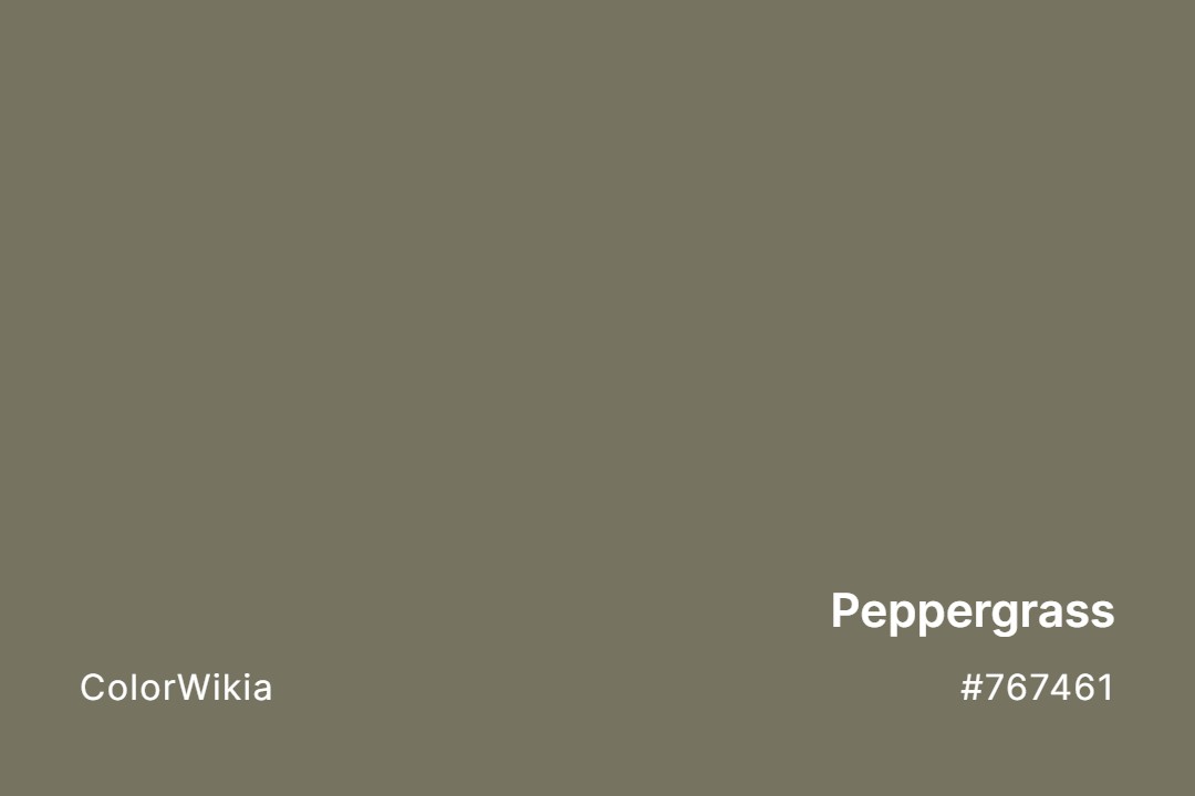 Peppergrass Color – #767461: Codes and Complete Breakdown