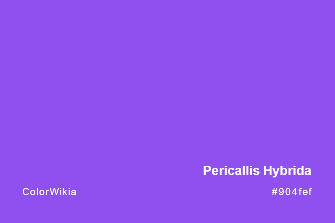 Pericallis Hybrida Color – #904fef: Codes and Complete Breakdown