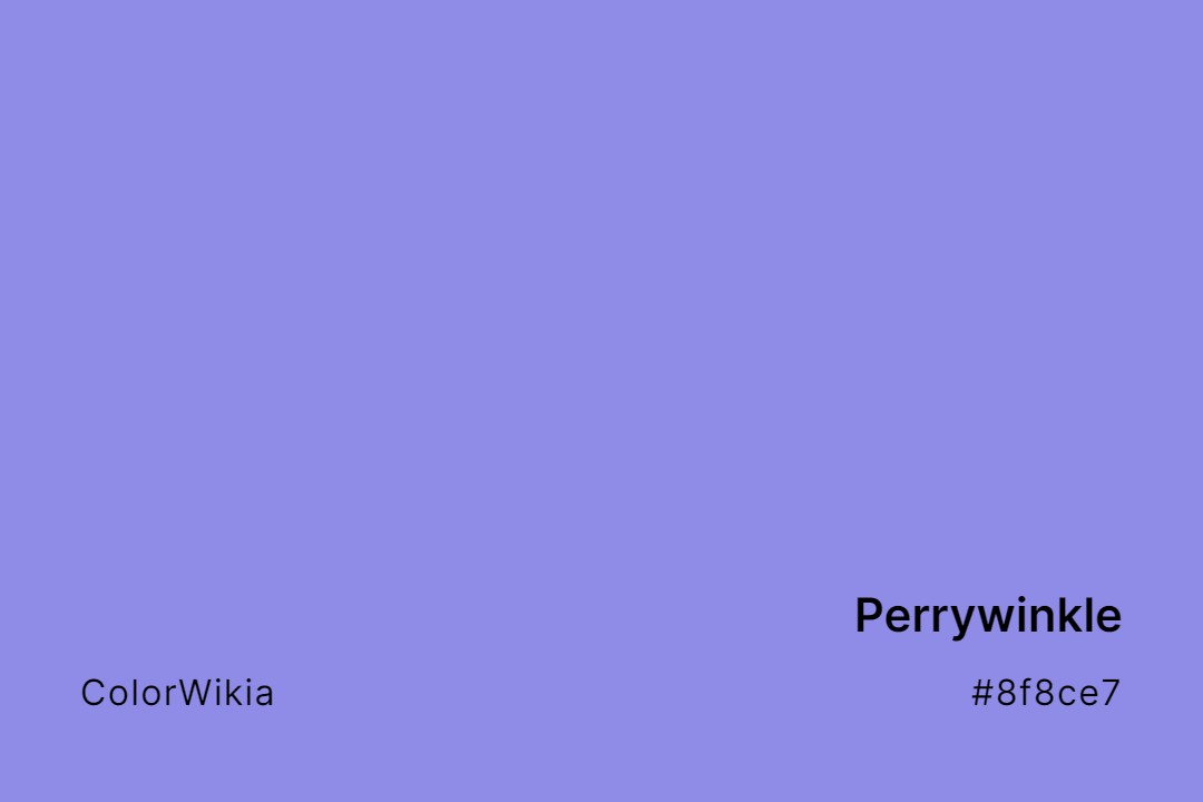 Perrywinkle Color – #8f8ce7: Codes and Complete Breakdown