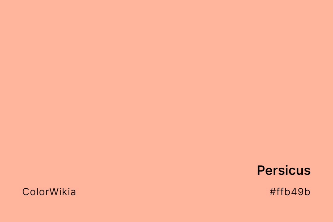 Persicus Color – #ffb49b: Codes and Complete Breakdown