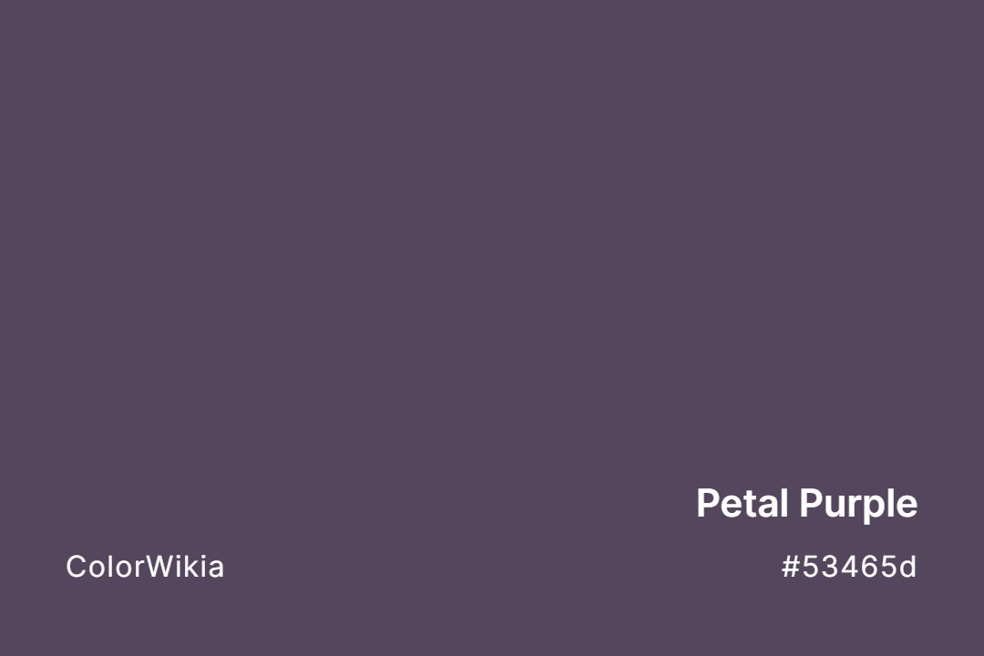 Petal Purple Color – #53465d: Codes and Complete Breakdown