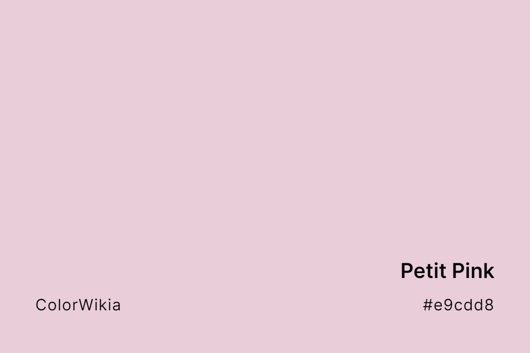 Petit Pink Color – #e9cdd8: Codes and Complete Breakdown