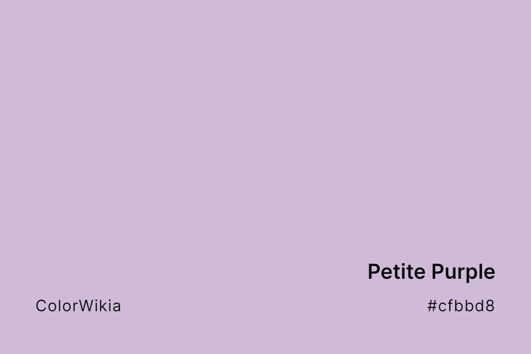 Petite Purple Color – #cfbbd8: Codes and Complete Breakdown