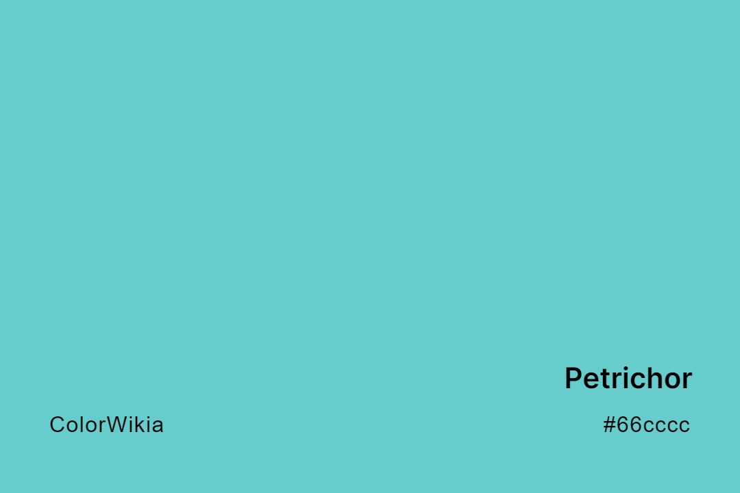 Petrichor Color – #66cccc: Codes and Complete Breakdown