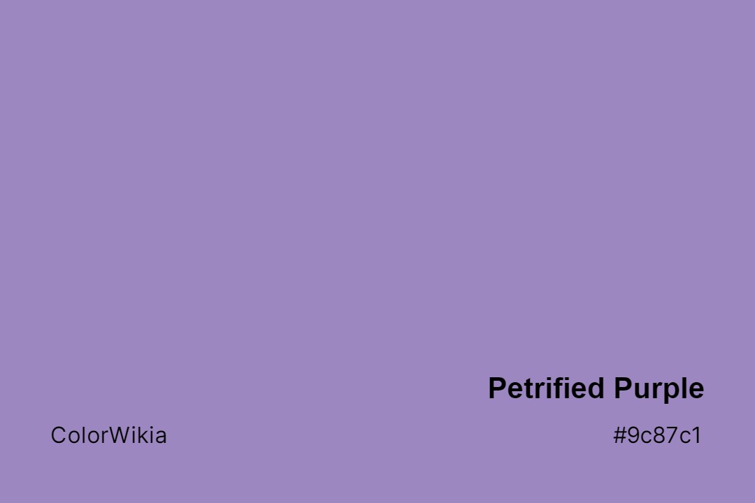 Petrified Purple Color – #9c87c1: Codes and Complete Breakdown
