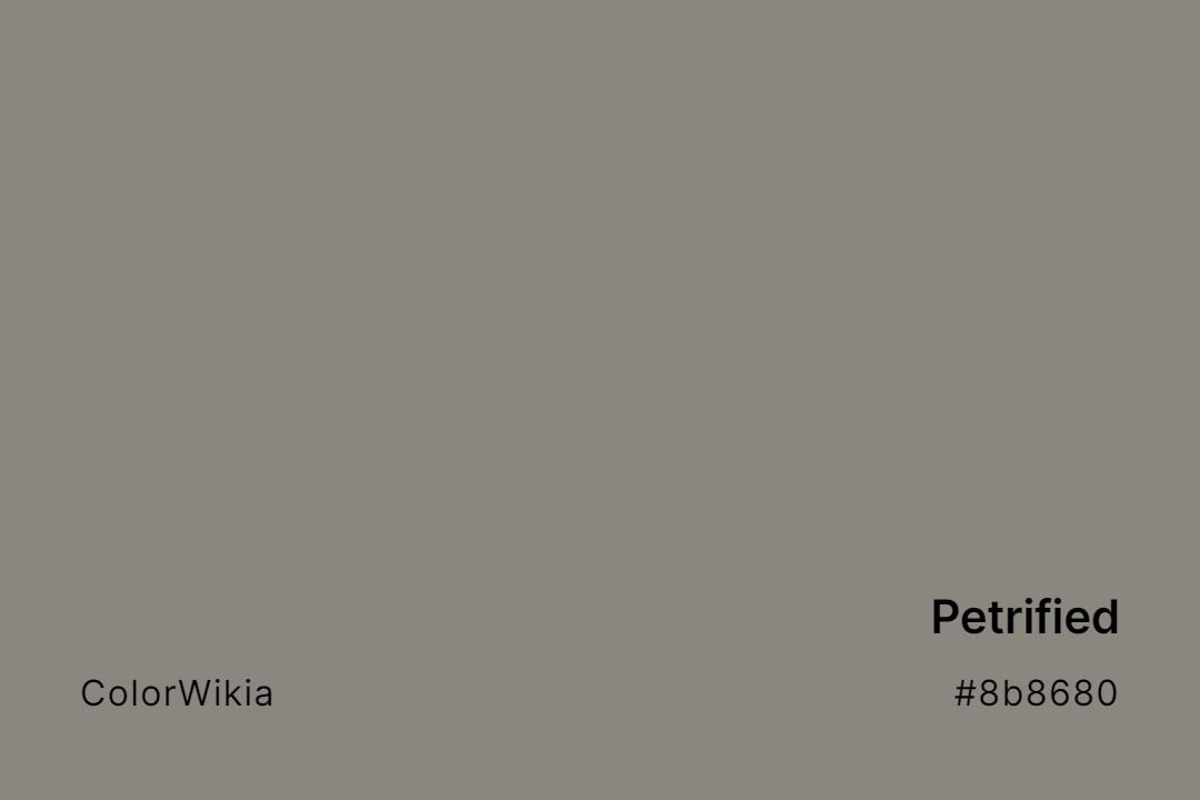 Petrified Color – #8b8680: Codes and Complete Breakdown