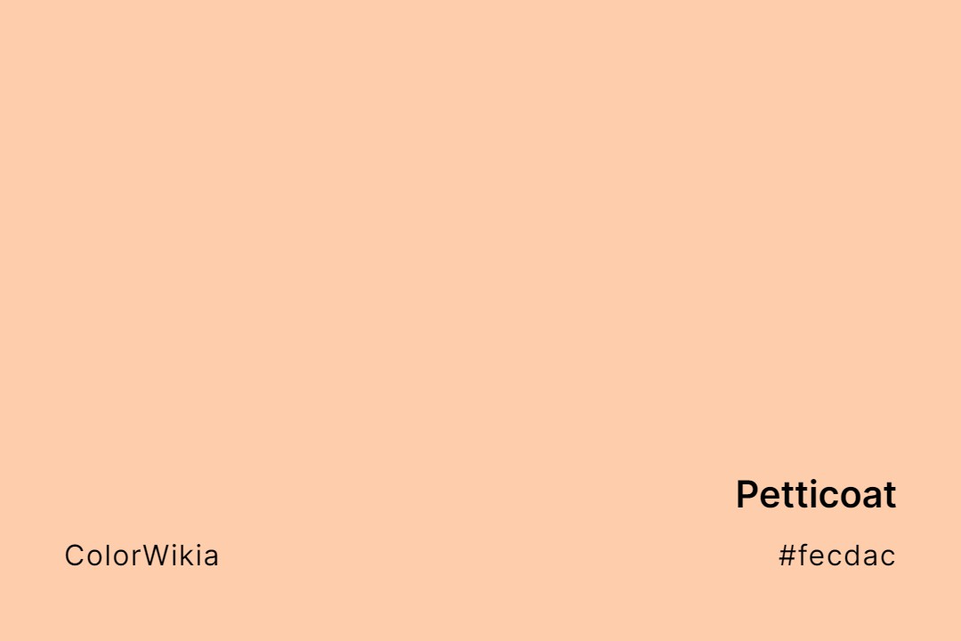 Petticoat Color – #fecdac: Codes and Complete Breakdown